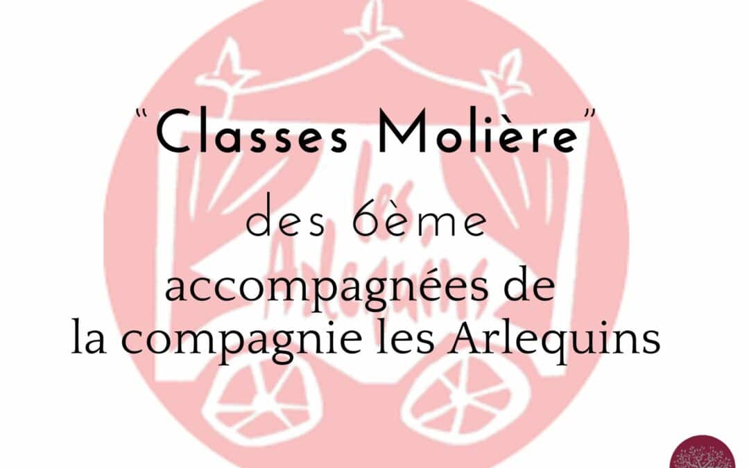 Classes Molière 2024